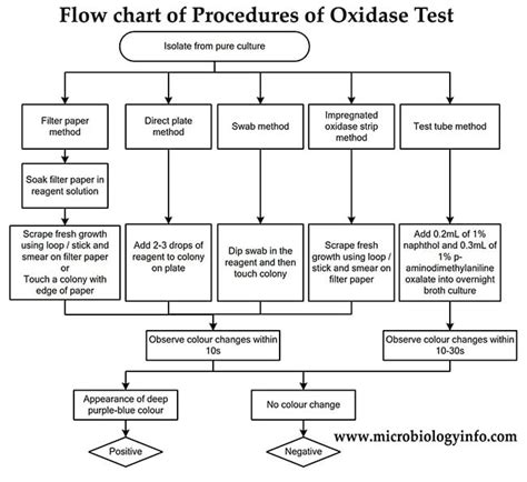 Oxidase Test- Principle, Uses, Procedure, Types, Result Interpretation...