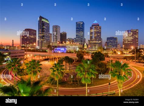 Downtown tampa skyline palm trees hi-res stock photography and images ...