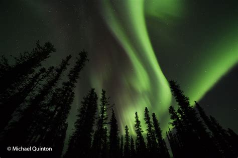 PHOTOGRAPHING AURORA BOREALIS | JOURNAL OF A WILDLIFE PHOTOGRAPHER