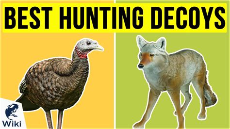 Top 10 Hunting Decoys | Video Review