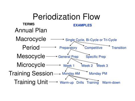 PPT - What is Periodization? PowerPoint Presentation, free download ...