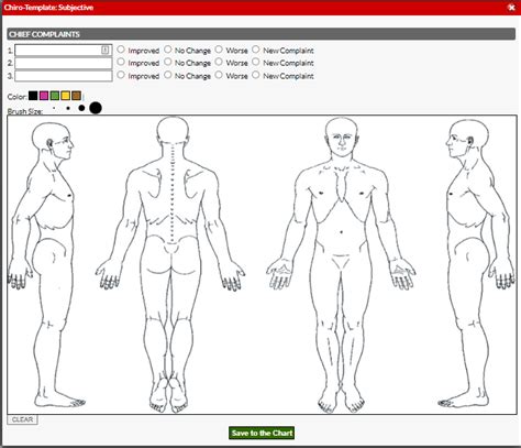 Chiropractic Charting Templates Examples : Online Help