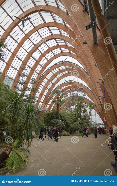 Inside the Winter Gardens in Sheffield, South Yorkshire Editorial Photo ...