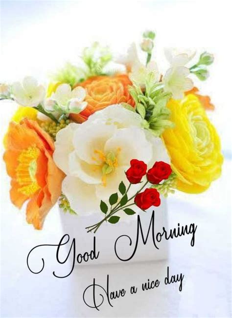 Good Morning In Images Shapes And Colors Of Flowers In Wallpapers ...