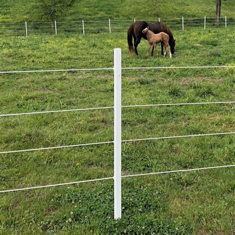 2" x 2" x 5' T-Post Sleeve | RAMM Horse Fencing & Stalls | Post sleeve, Horse fencing, Horses