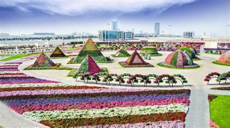 Dubai Miracle Garden, Slice of Heaven on Deserts - Traveldigg.com