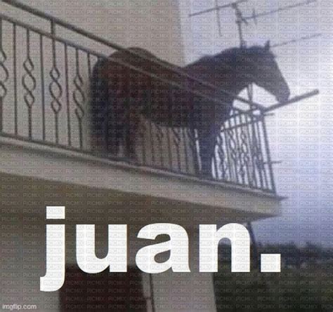 juan., meme , juan , horse , spanish - Free PNG - PicMix