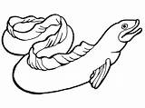 Electric Eel Coloring Page At GetColoringscom  Free Printable sketch template