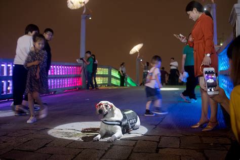 The bustling nightlife of Wuxi - Chinadaily.com.cn