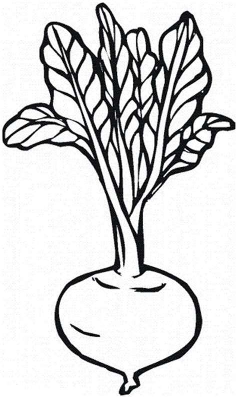 Pin on Fruits And Vegetables Coloring Page