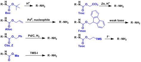 Carbamate Protective Groups | Chem-Station Int. Ed.