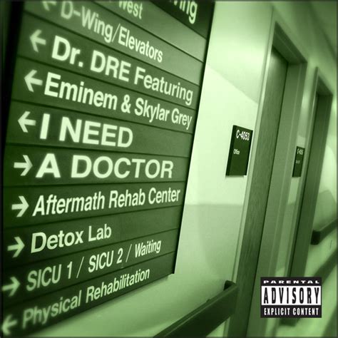 I Need A Doctor, a song by Dr. Dre, Eminem, Skylar Grey on Spotify