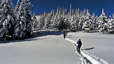 Unbelievable Idaho Winter Experiences | Visit Idaho