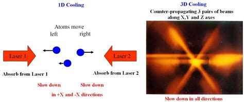 Bose Einstein Condensate Particles