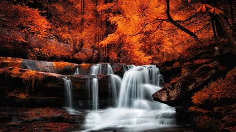 Beautiful Waterfall Stream On Rocks Surrounded By Red Yellow Autumn Leafed Trees In Forest 4K HD ...