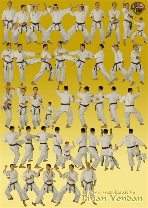 PinanYondan.jpg 1 000 × 1 408 pixlar | Karate kata, Wado ryu karate, Karate training