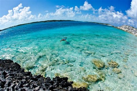 Travel photo of the day: Snorkeling in the Bahamas