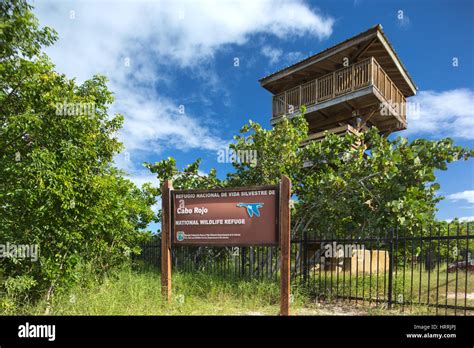 VIEWING PLATFROM CABO ROJO NATIONAL WILDLIFE REFUGE PUERTO RICO Stock ...