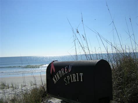 Museum Offers Guided Bird Island Walk | Ocean Isle Beach - North ...