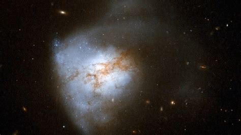 Seven Supernovae Found in Single Galaxy—A First