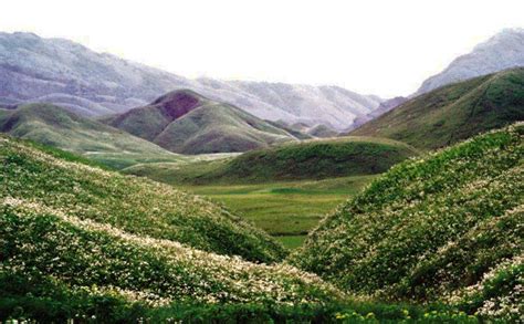 Valley Of Flowers Dzukou valley Nagaland - avalshe98