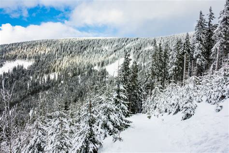 Winter with Snow in the Giant Mountains, Czech Republic Stock Photo ...