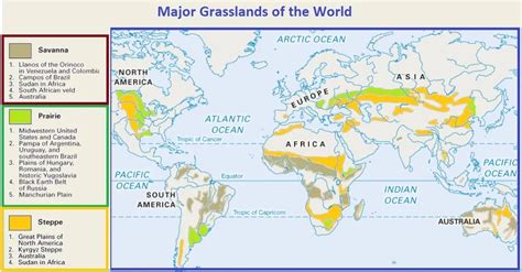 Grasslands in the World - Grasslands in the World - Geography