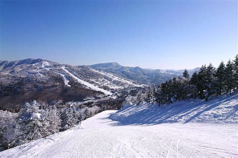 Shiga Kogen Ski Resort - Central Area - SNOW MONKEY RESORTS