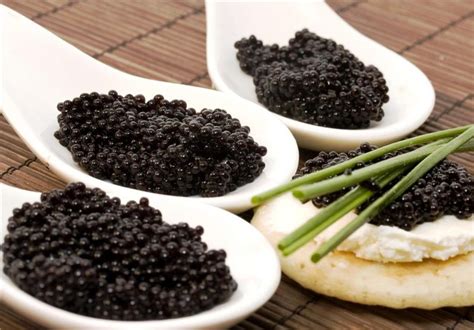 Iran Seeks to Revive Lucrative Caviar Industry: Report - Economy news - Tasnim News Agency