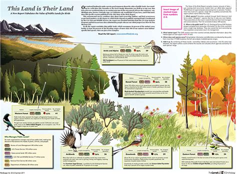 Cornell Lab of Ornithology :: Behance