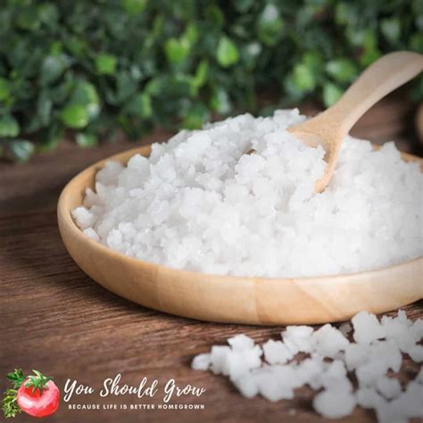 Epsom Salt In The Garden - You Should Grow