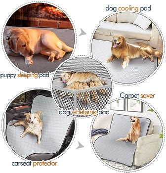 Best 5 Rubber Dog Crate Mat With Non-Slip Design For Safety