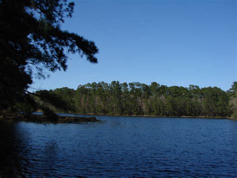 Coldspring, TX : Double Lake Campground photo, picture, image (Texas ...