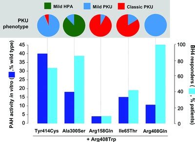 Genetics of Phenylketonuria: Then and Now - Blau - 2016 - Human Mutation - Wiley Online Library