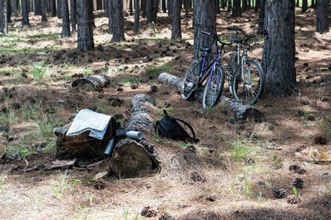 View of bicycles and map in forest - Stock Photo - Dissolve