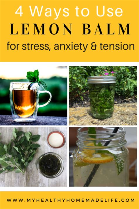 How to Use Lemon Balm for Stress, Tension and Anxiety | Herbal Remedies | Home Remedies | Herbal ...