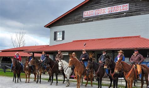 Mule Days | East Fork Stables