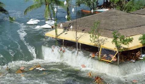 Thailand Tsunami | ArticlesVally