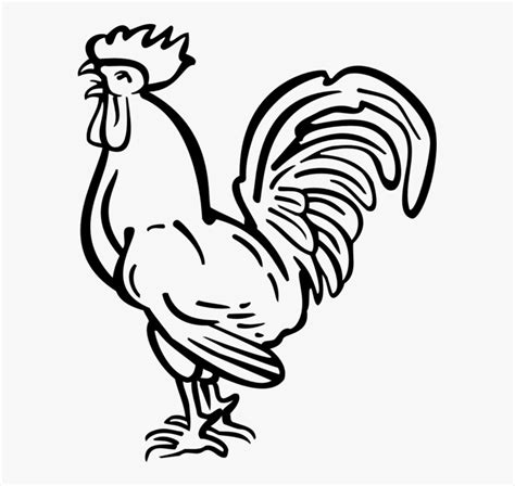 Transparent Rooster Clipart Black And White - Chicken Tattoo Png, Png Download - kindpng