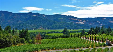 Napa, CA 6-Day Weather Forecast | Hotel Napa Valley