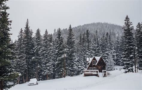 3 Considerations for Building a Cabin in Northern Colorado | Mighty ...