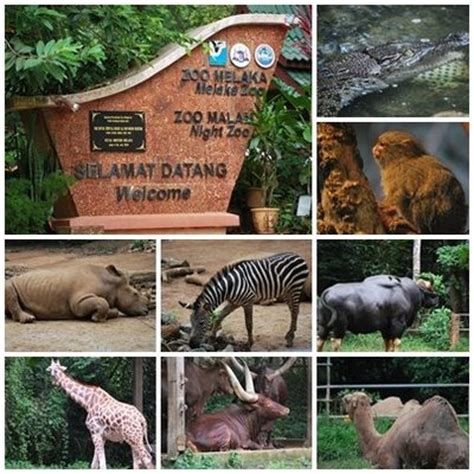 | The Melaka Zoo