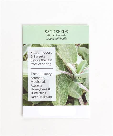 Sage Seeds - Walmart.com