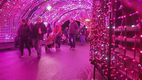 Crowds turn out for Zoo Lights