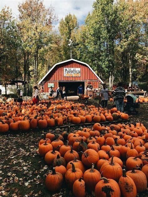 (10/8) - This photo is basically Fall in one photo. To me, the season of Fall is pumpkins, Apple ...