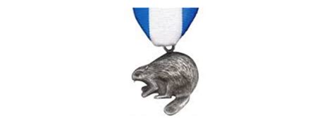 Silver Beaver Award