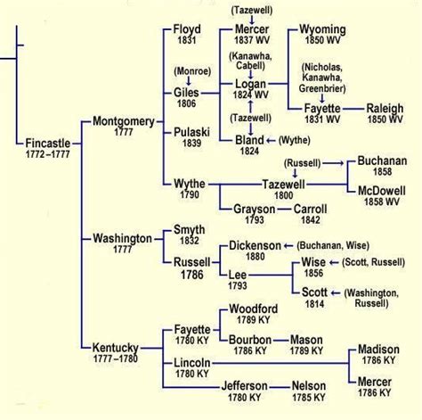 Fincastle County Records | Genealogy book, Genealogy, Marriage records