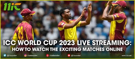 ICC Cricket World Cup 2023 Live Streaming: How To Watch The Exciting ...