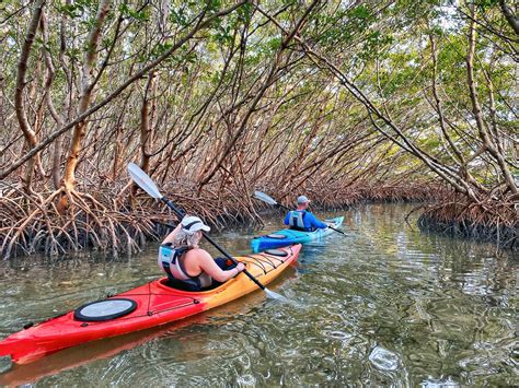 Coastal Kayak Charters (Saint Pete Beach) - Alles wat u moet weten ...