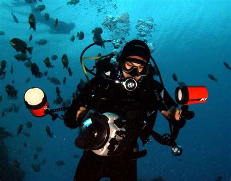 Top SCUBA Diving Jobs for 2013 (Part I) – Scuba Diving Reviews & Blog